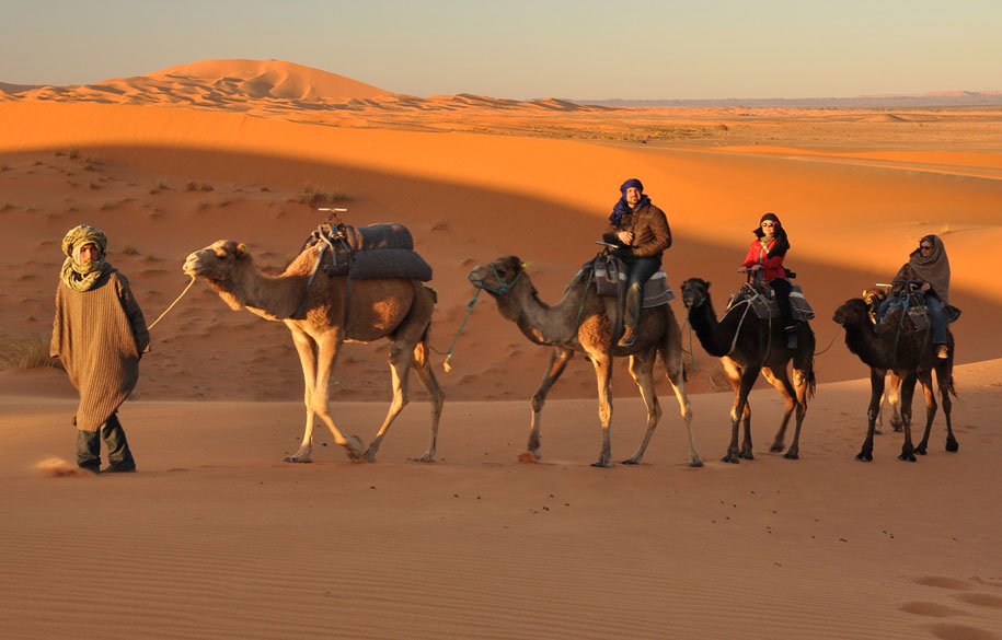 Rajasthan Desert Heritage Tour